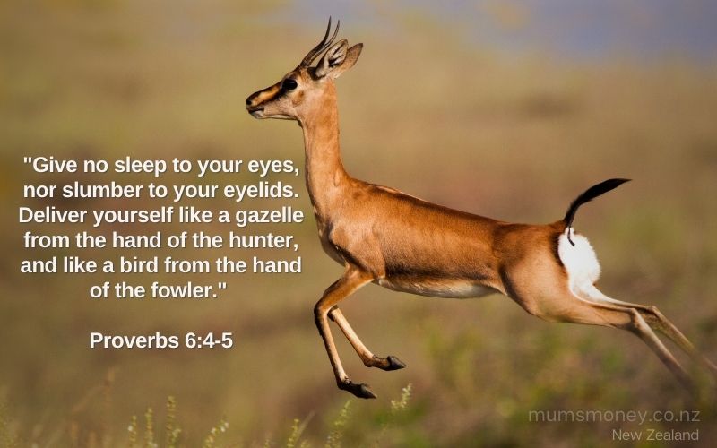 quote about gazelle