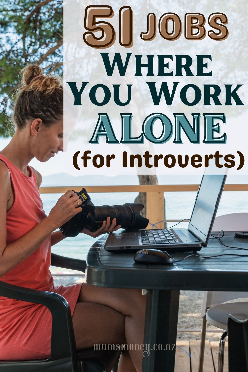 51 Jobs Where You Work Alone (for Introverts) 2023 Pin Image