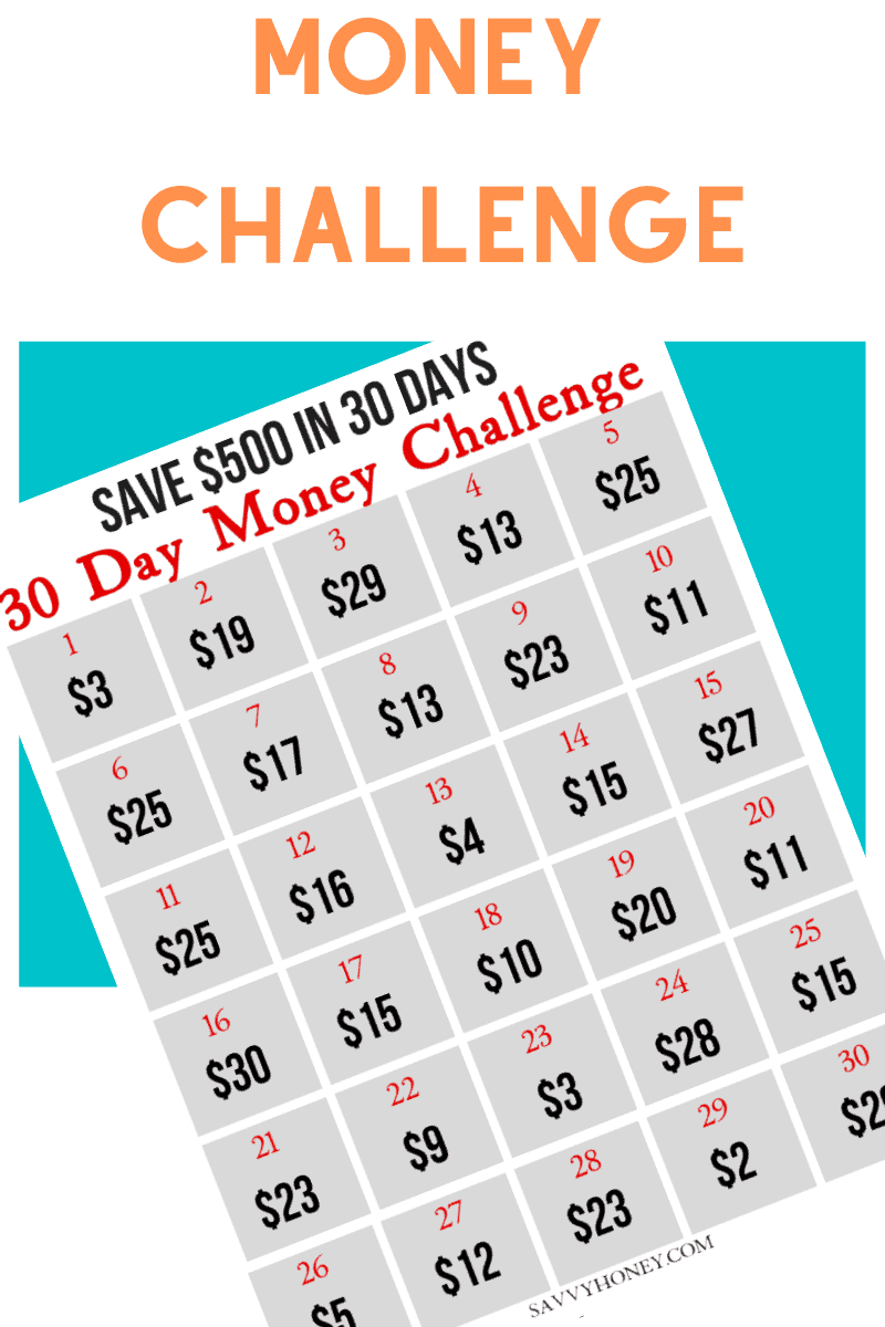 30 Day Money Challenge