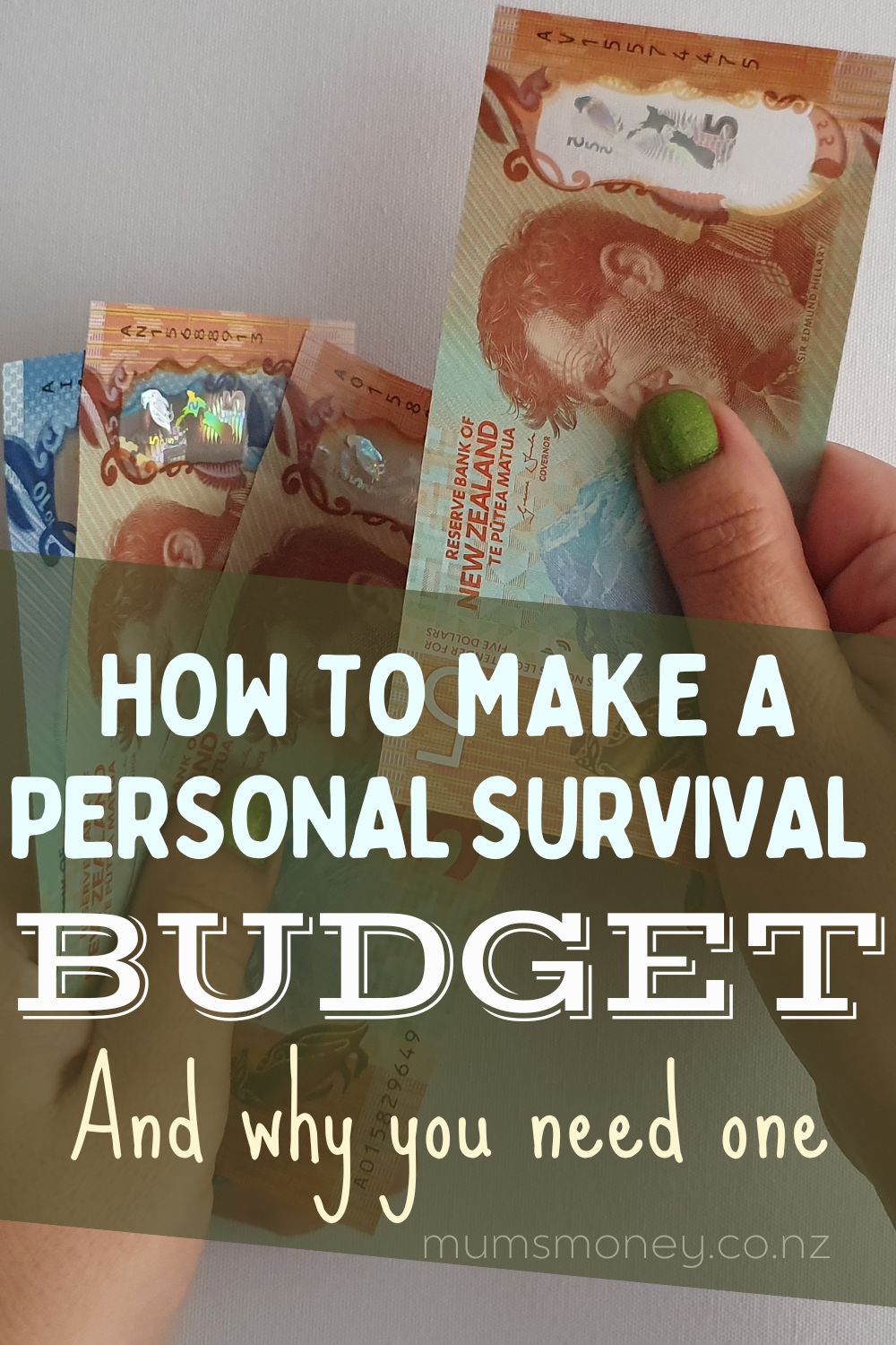 How to Make a Personal Survival Budget Pin Image