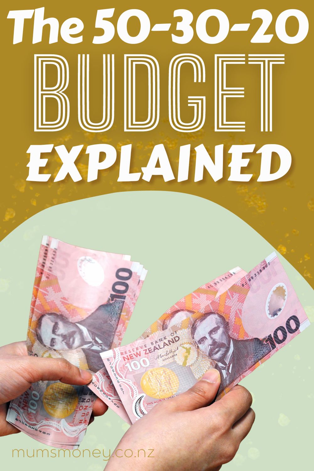 The 50-30-20 Budget Explained