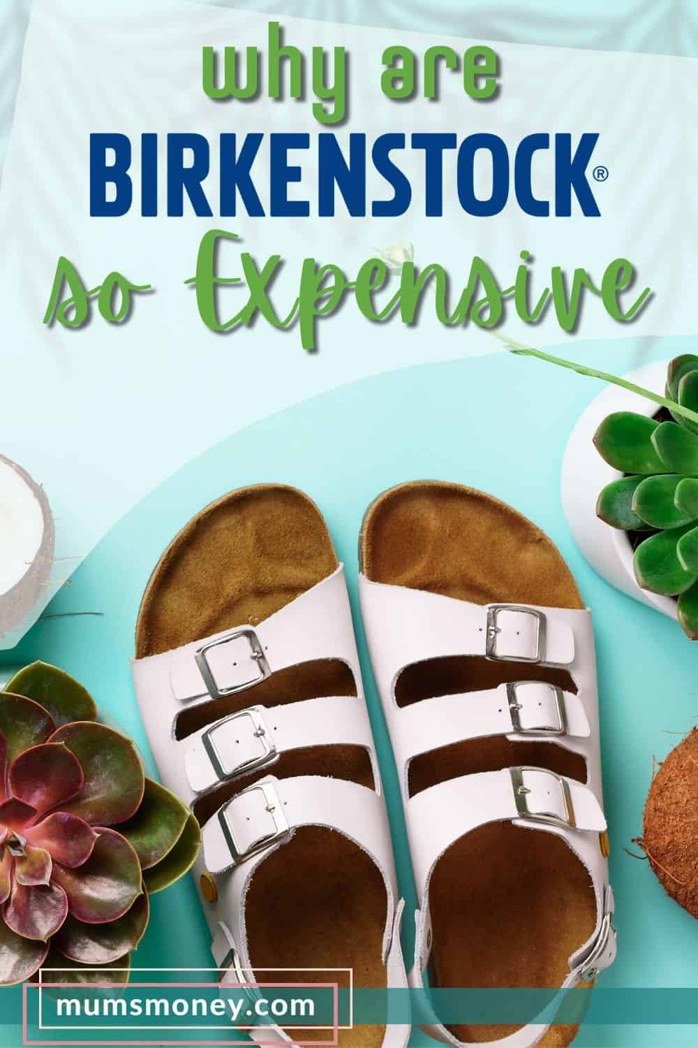 Birkenstocks sandals beside succulent plants on blue background with text overlay that reads Why Are Birkenstocks So Expensive 