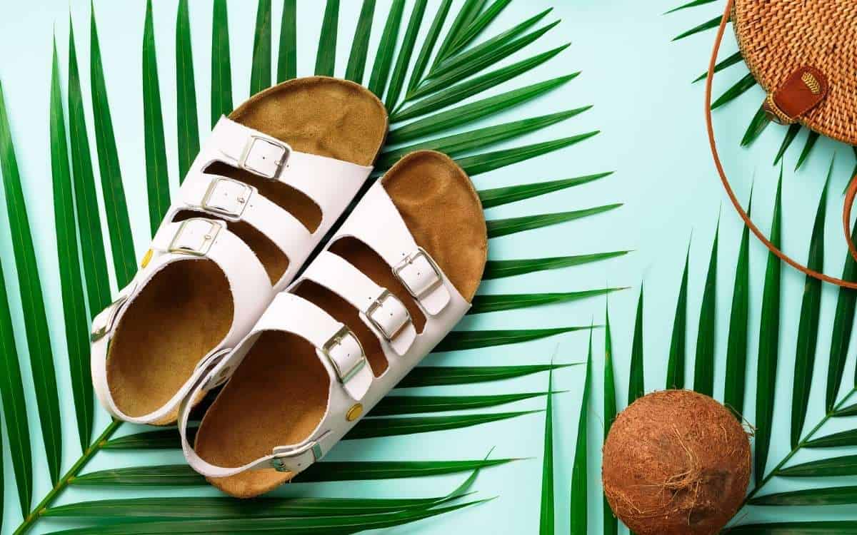 Birkenstocks sandals on pam leaves with blue background_Why Are Birkenstocks So Expensive