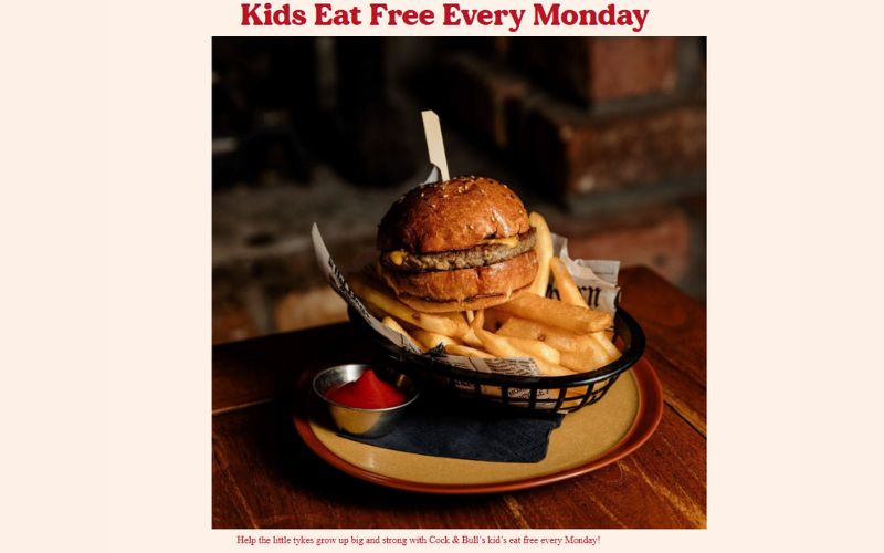 Photo of a large burger with fries on a plate