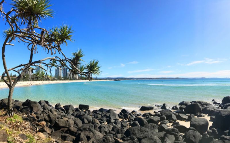 A tree and dark rocks along a sunny beach in Gold Coast with clear turquoise ocean water.